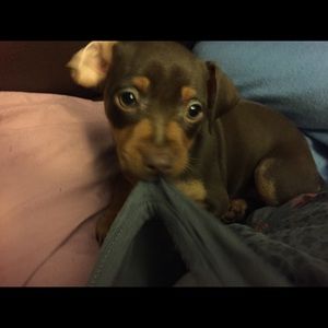 Meet your Posher, Jaycee